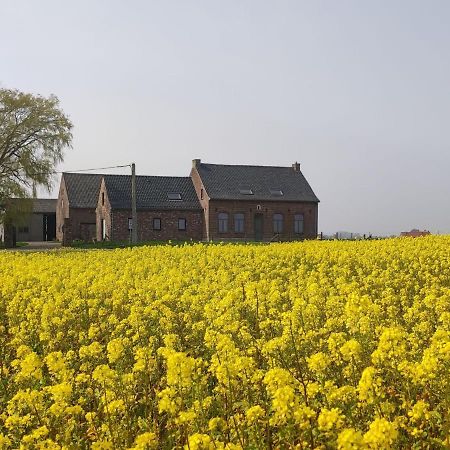 Spacious Holiday Home With Pond In Poperinge Roesbrugge-Haringe ภายนอก รูปภาพ