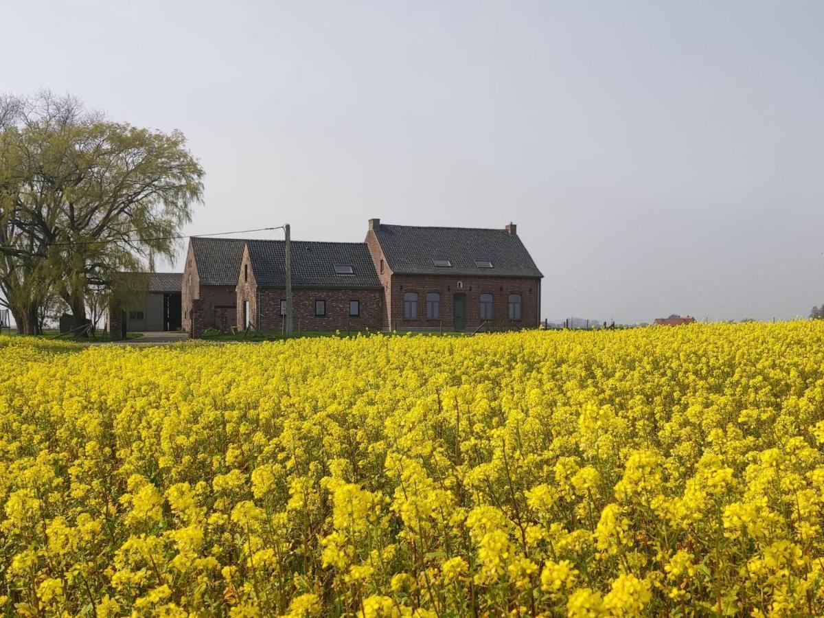 Spacious Holiday Home With Pond In Poperinge Roesbrugge-Haringe ภายนอก รูปภาพ